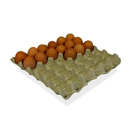 100 X NEW EGG TRAYS GREY (HOLDS 30 EGGS)SUITABLE FOR CHICKEN MEDIUM/LARGE EGGS