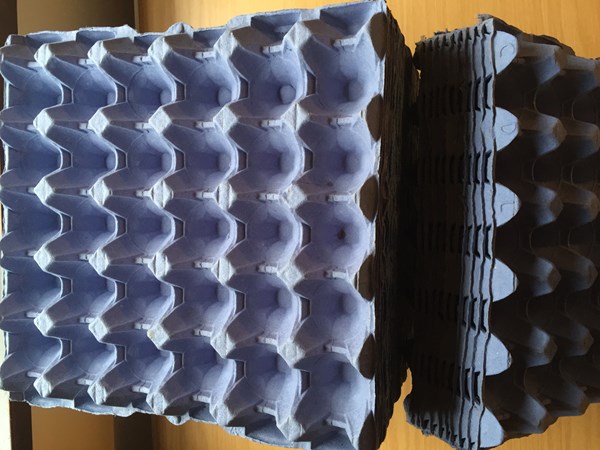 50 X USED BLUE EGG TRAYS (HOLDS 30 EGGS)