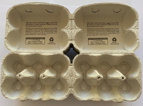100 X NEW HALF DOZEN QUALITY PRINTED EGG BOXES FOR VERY LARGE CHICKEN / DUCK EGGS