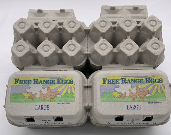 50 X HALF DOZEN PRINTED SUNSHINE FREE RANGE EGGS - LARGE