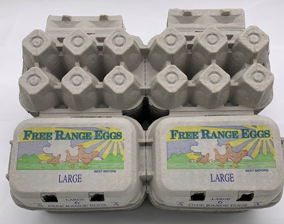 260 X HALF DOZEN PRINTED SUNSHINE FREE RANGE EGGS - LARGE