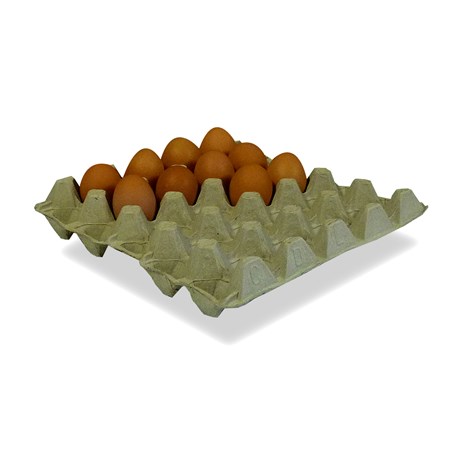50 X USED EXTRA LARGE GREY EGG TRAYS (HOLDS 20 EGGS)